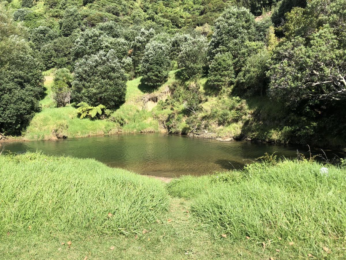 Te Mata Bay Seaviews Bed & Breakfast Tapu Luaran gambar