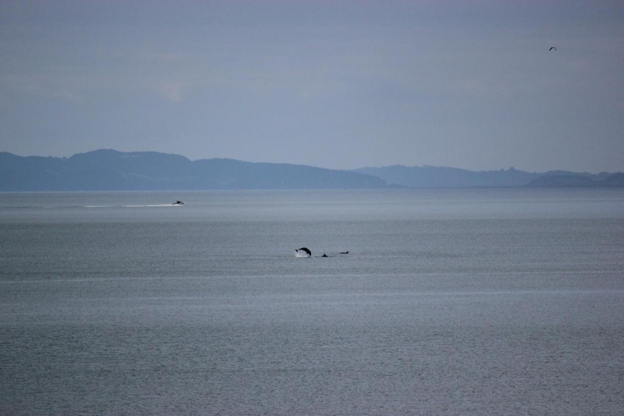 Te Mata Bay Seaviews Bed & Breakfast Tapu Luaran gambar